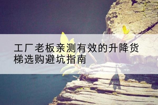 青神升降货梯怎么选-工厂老板亲测有效的升降货梯选购避坑指南