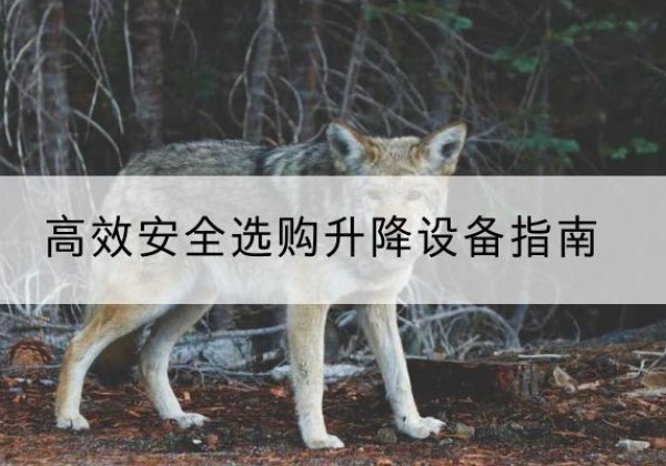 青神升降货梯厂家推荐-*安全选购升降设备指南