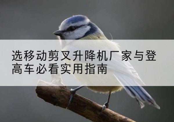 青神电动升降机厂家-选移动剪叉升降机厂家与登高车必看实用指南