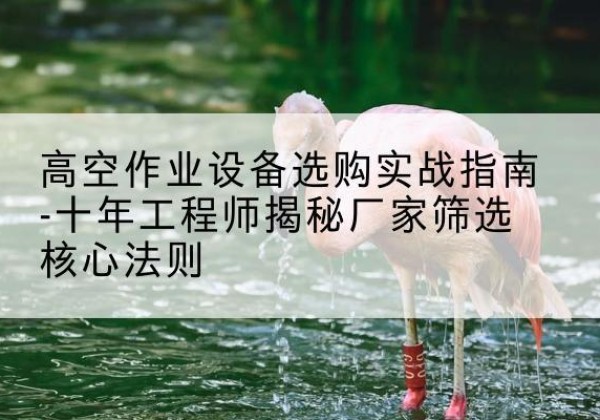 青神剪叉式升降机厂家-高空作业设备选购实战指南-十年工程师揭秘厂家筛选核心法则