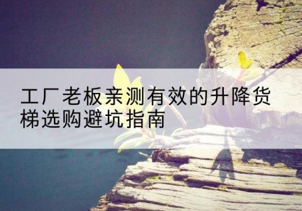 青神升降货梯怎么选-工厂老板亲测有效的升降货梯选购避坑指南